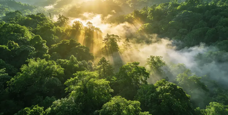 邯郸肺癌11基因检测组织版图片1