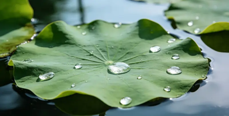 邯郸乳腺癌21基因mRNA表达分析图片1