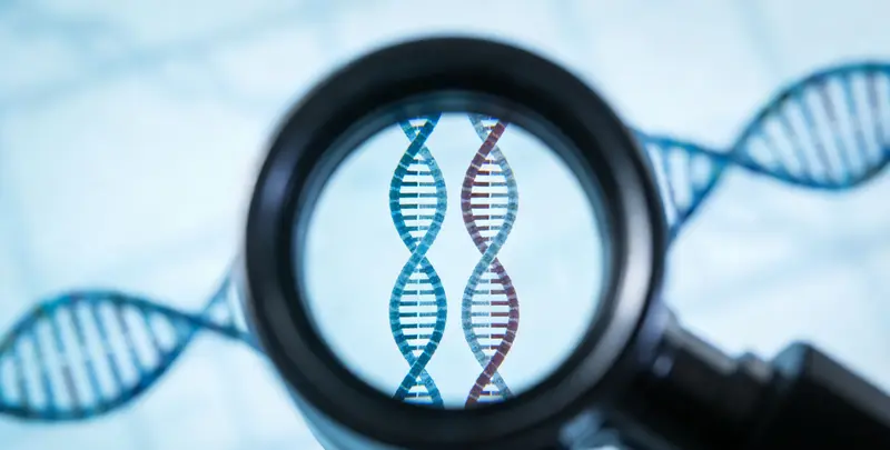 上户口亲子鉴定图2