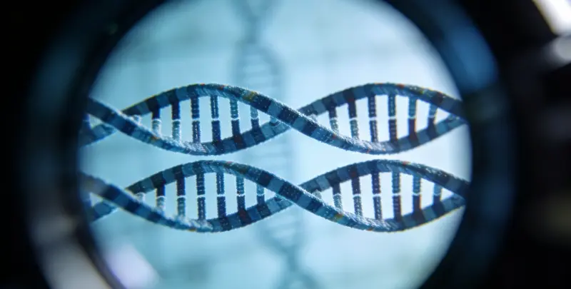 上户口亲子鉴定图4